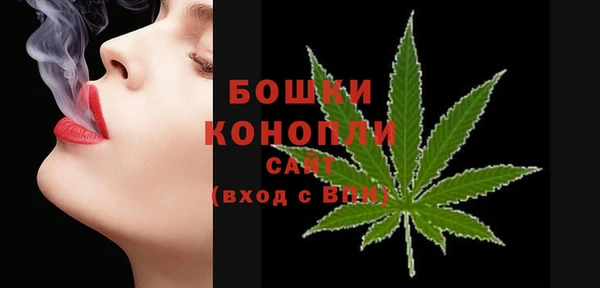 ПСИЛОЦИБИНОВЫЕ ГРИБЫ Новозыбков