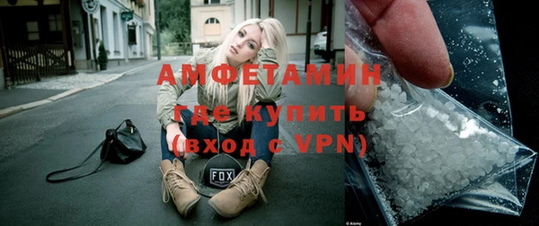 ПСИЛОЦИБИНОВЫЕ ГРИБЫ Новозыбков