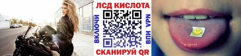 дарнет шоп  Хилок  Наркотические марки 1,5мг 