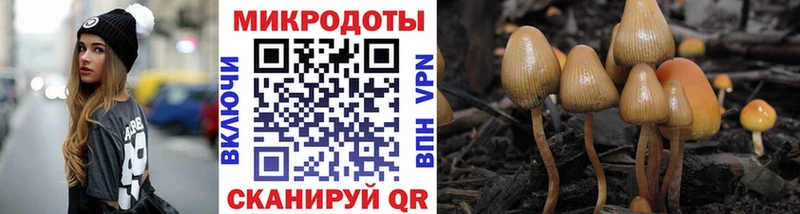 дарнет шоп  Хилок  Галлюциногенные грибы GOLDEN TEACHER 