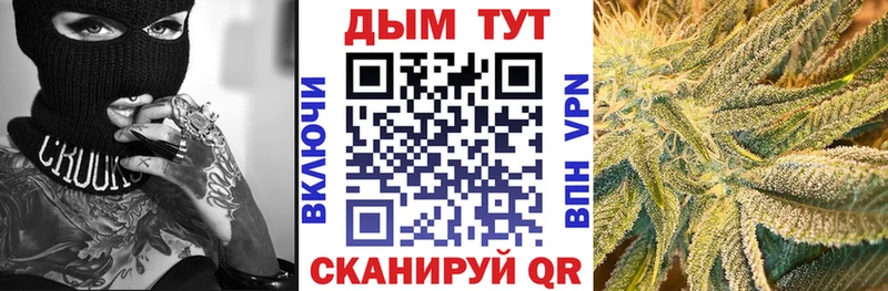 hydra вход  где купить наркоту  Хилок  Бошки Шишки SATIVA & INDICA 